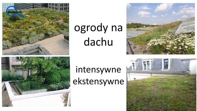 Ewa Trzaskowska Jak poprawić klimat miast wykorzystując roślinność? смотреть онлайн