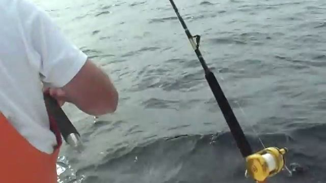 tuna 6 смотреть онлайн