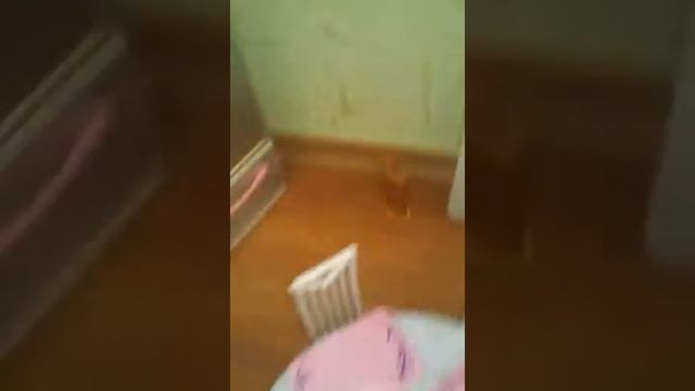 Кукольный домик часть 1 смотреть онлайн