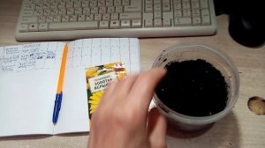 Сею на Рассаду Многолетний ЦВЕТОК сорта ГЕЛИОПСИС "ЗОЛОТАЯ ВСПЫШКА!!!!   Похож на СОЛНЫШКО  26.2.24