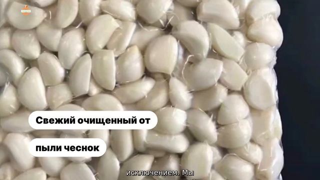 Китай Сушеный Картофель Гранулы Экспортер смотреть онлайн