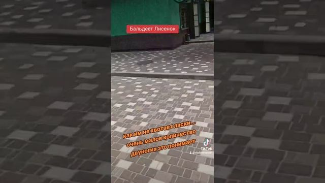 Хвостики,как и любое живое существо, очень любит ласку,но не получают её от "хозяев"- касается сел смотреть онлайн