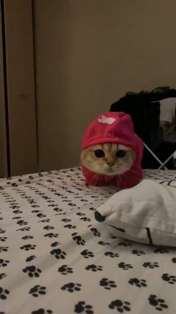 розовый плащ #shorts смотреть онлайн