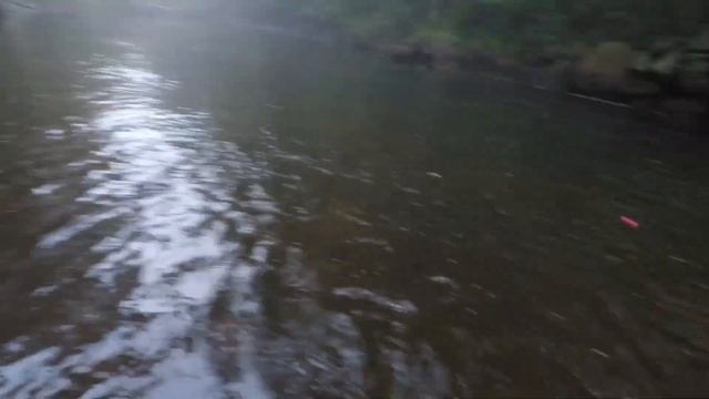East Branch Croton River смотреть онлайн