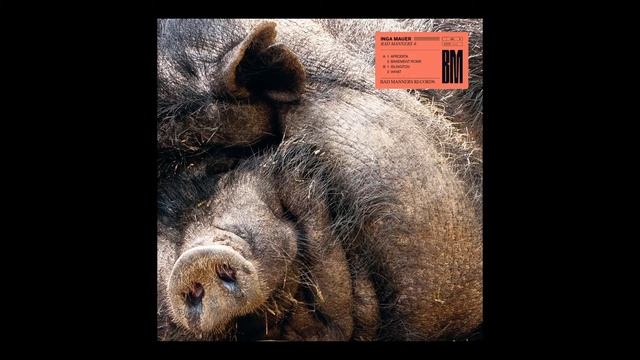 Inga Mauer - What [BM6] смотреть онлайн