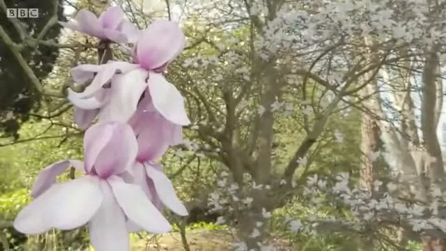 Gardeners World S 48 E 5/31 (April 03, 2015) смотреть онлайн