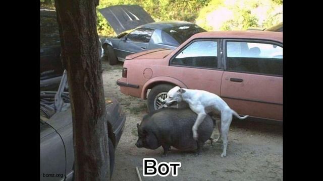 СЛИВ ЛИЦА РОБЕРТА!!!!!! смотреть онлайн