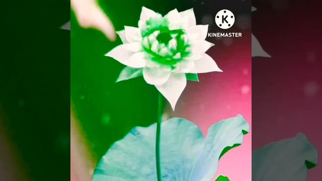 beautiful status video 🤗 ll beautiful nature video status ❤️ смотреть онлайн