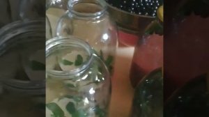 Мохито из черной смородины смородина +мята + сахар