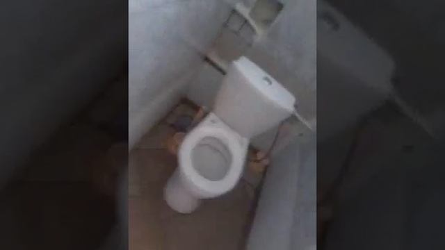 Мы в туалете смотреть онлайн