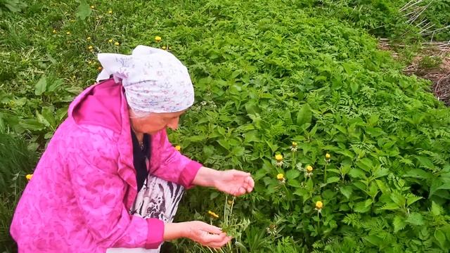 Про одуванчики смотреть онлайн