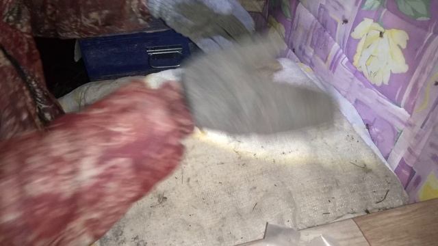 как кормить пчёл зимой