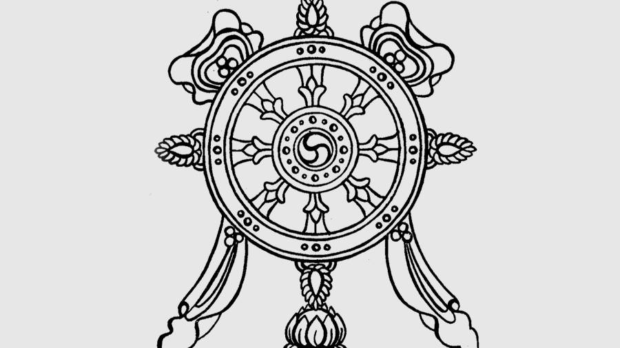 Интервью о зурхае смотреть онлайн