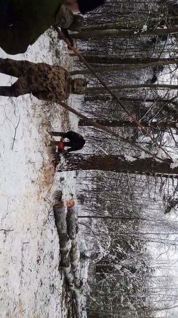 Валка леса смотреть онлайн