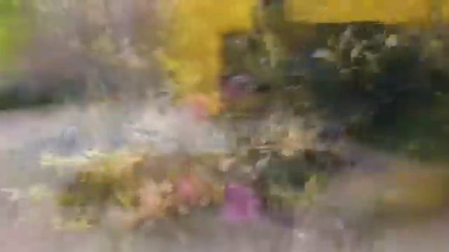 Deli balın hikayesi. смотреть онлайн