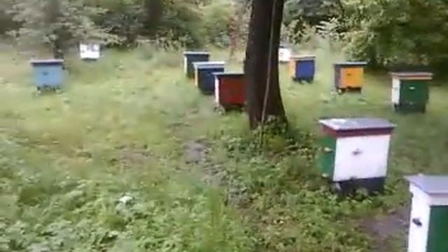 Нуклеусы (нуклеусный парк) смотреть онлайн