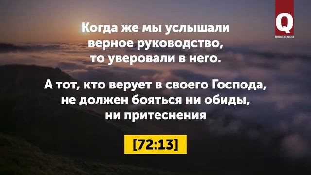 7 мудрых из цитата Корона смотреть онлайн