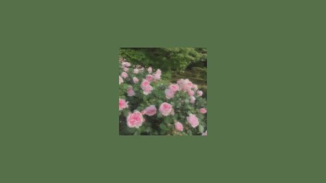 Capsule - TiC TaC (slowed)