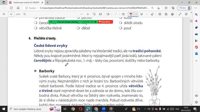 Курс чеської мови Чеські традиції - вимова та читання 9.12.22 смотреть онлайн