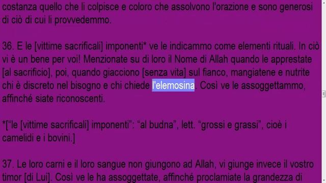 Il Qurano traduzione italiana capitolo 22 смотреть онлайн