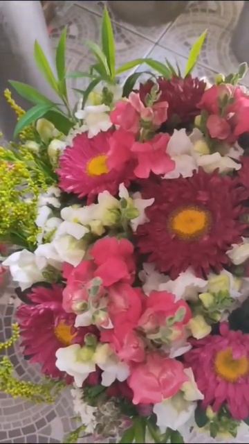 Банкетки из астры, львиного зева. Букеты в местные цветочные магазины. смотреть онлайн