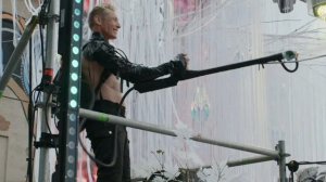 Aiwaska at Odyssey Festival Tree Of Live