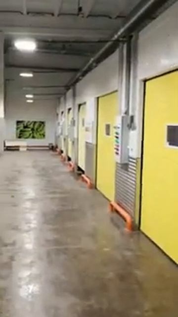 Комплекс по дозариванию бананов смотреть онлайн