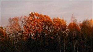 Иеромонах Роман. «Красотой октября запорошен...»