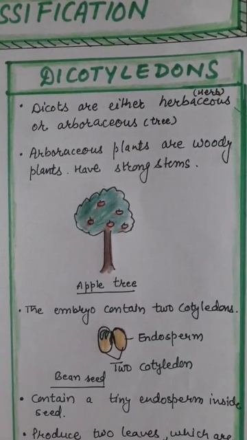 Class 11 Biology notes chapter 3 part-9 | Angiosperms Classification | #shorts смотреть онлайн