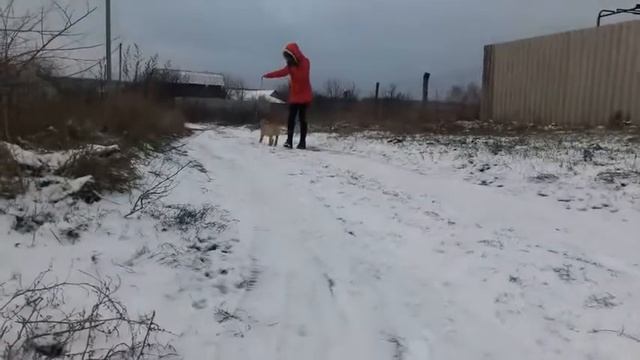 Untitled смотреть онлайн