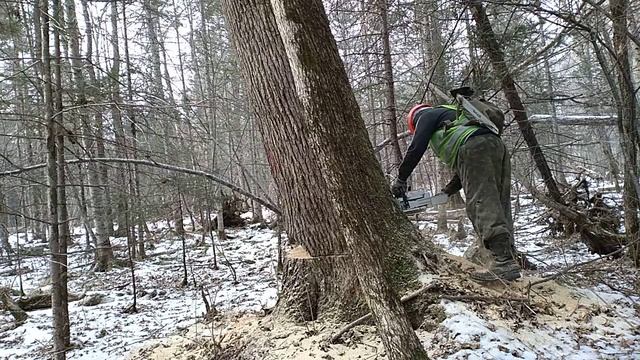 😀😀😀ЯСЕНЬ!!!!!!! смотреть онлайн