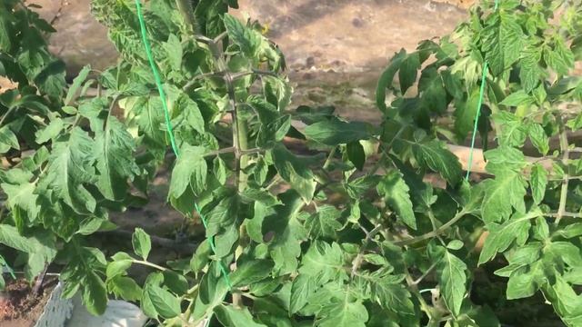 IMG 2273а2 смотреть онлайн