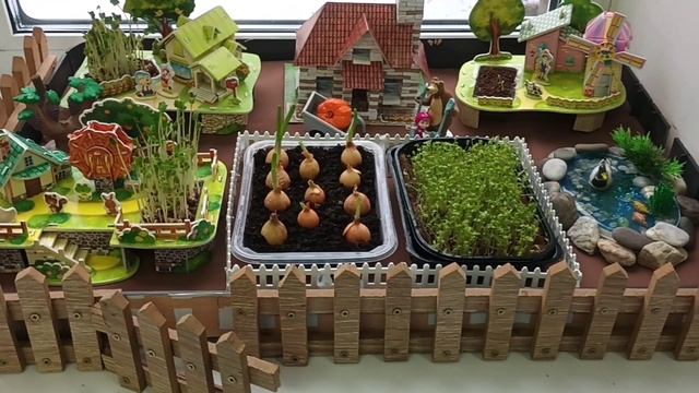 Веселый  огород