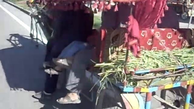 Кульджа. Kuldja (Yining), Xinjiang, China