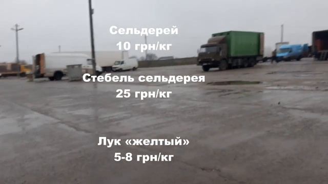 25.11.2022 Цены на рынке Копани смотреть онлайн