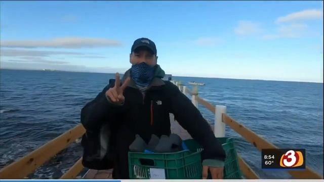 Tara Hitchcock's Baja adventure смотреть онлайн