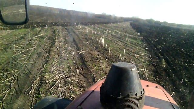 Дубовое смотреть онлайн