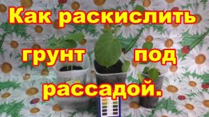 Как раскислить грунт под рассадой