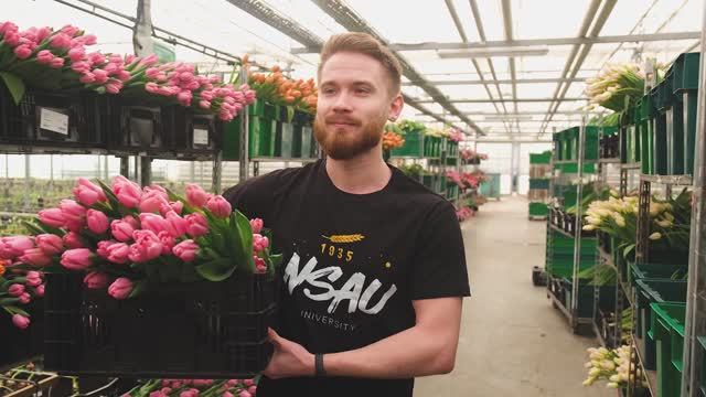 к 8 марта смотреть онлайн