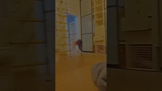 индусы захватили интернет 2 сезон