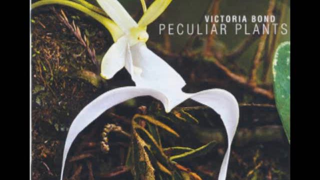 VICTORIA BOND: "Jasmine Flower" for Solo Viola смотреть онлайн