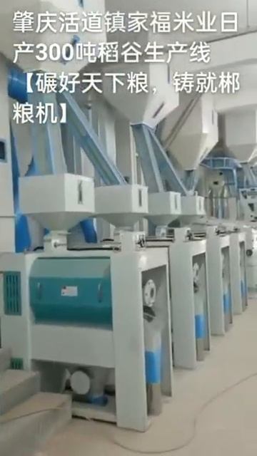 300TPD complete rice mill machine смотреть онлайн