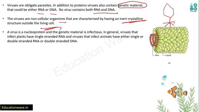 Biological Classification (Viruses , viriods ,lichens) Biology Class 11 In Hindi Part 15 смотреть онлайн