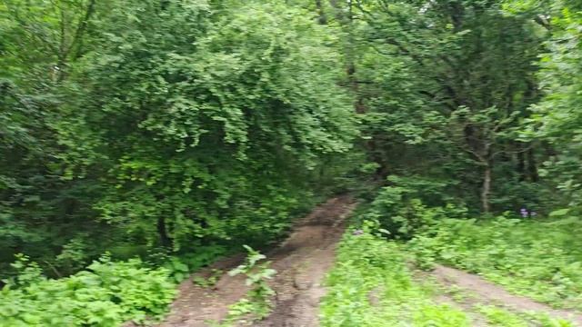 ПВД гора Свинцовая, в поисках пещер смотреть онлайн