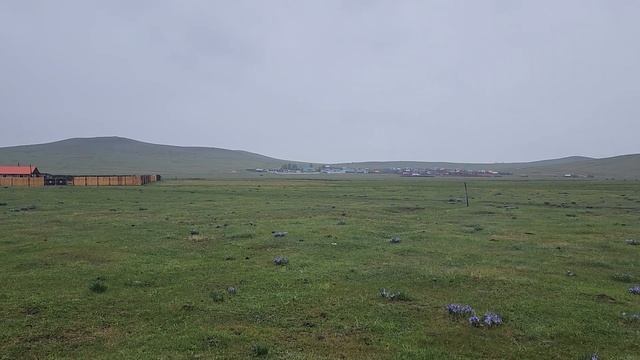 Дорнод аймгийн Баянуул сум. Зуны сайхан бороотой өдөр. смотреть онлайн