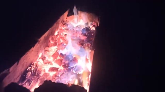 Костёр... и шашлычок к Новому году #shortvideo #шашлык #костер #новыйгод #праздник смотреть онлайн