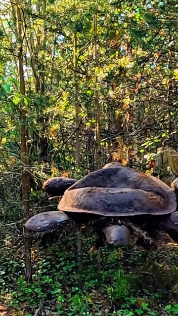 Суровая советская игрушка! #металлоискатель смотреть онлайн