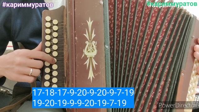 ЯЛГЫЗ АККОШ КҮЛЛӘРДӘ - обучающий видеоразбор на гармони ЦИФРАМИ смотреть онлайн