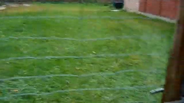 Бездомного котёнка накормил а за одно и в туалет сходил смотреть онлайн