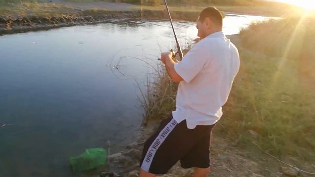 БАЛИК ОВИ КАШКАДАРЁ. BALIQ OVI QASHQADARYO.